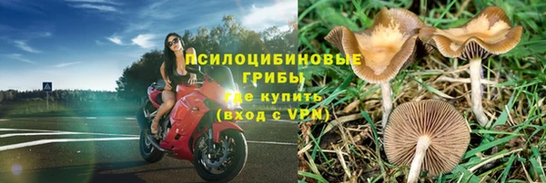 ГАЛЛЮЦИНОГЕННЫЕ ГРИБЫ Алзамай