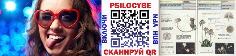 Псилоцибиновые грибы Magic Shrooms Евпатория