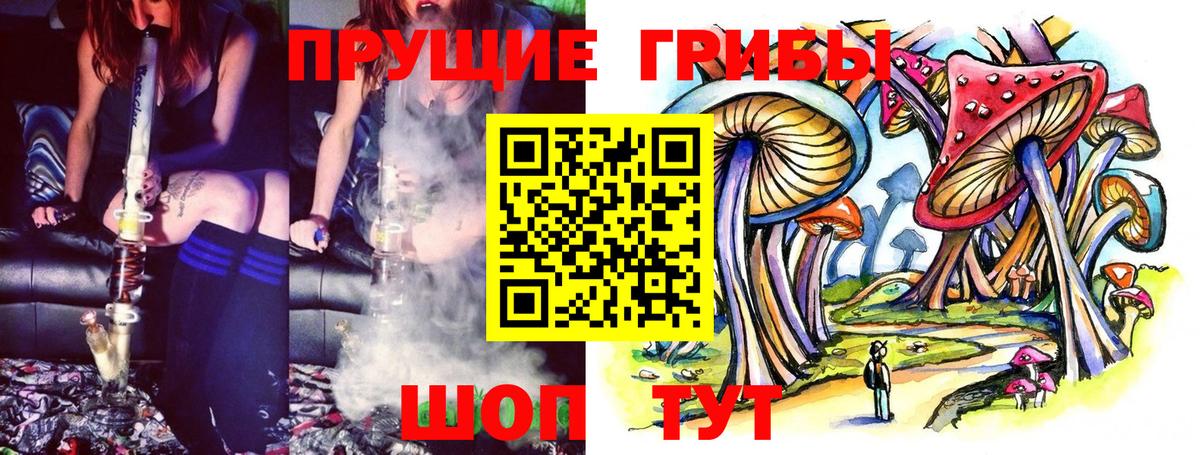 Псилоцибиновые грибы GOLDEN TEACHER  Вход с VPN  Евпатория 